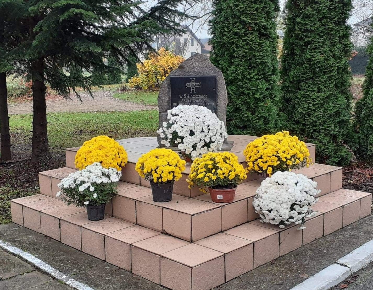 Chryzantemy Gmina Łomazy 3
