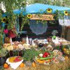 Dożynki Gminne 2015