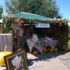 Dożynki Powiatowe 2015