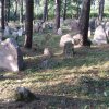 Porządki na cmentarzu tatarskim