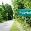 Kopytnik