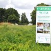 Studzianka