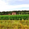 Szymanowo